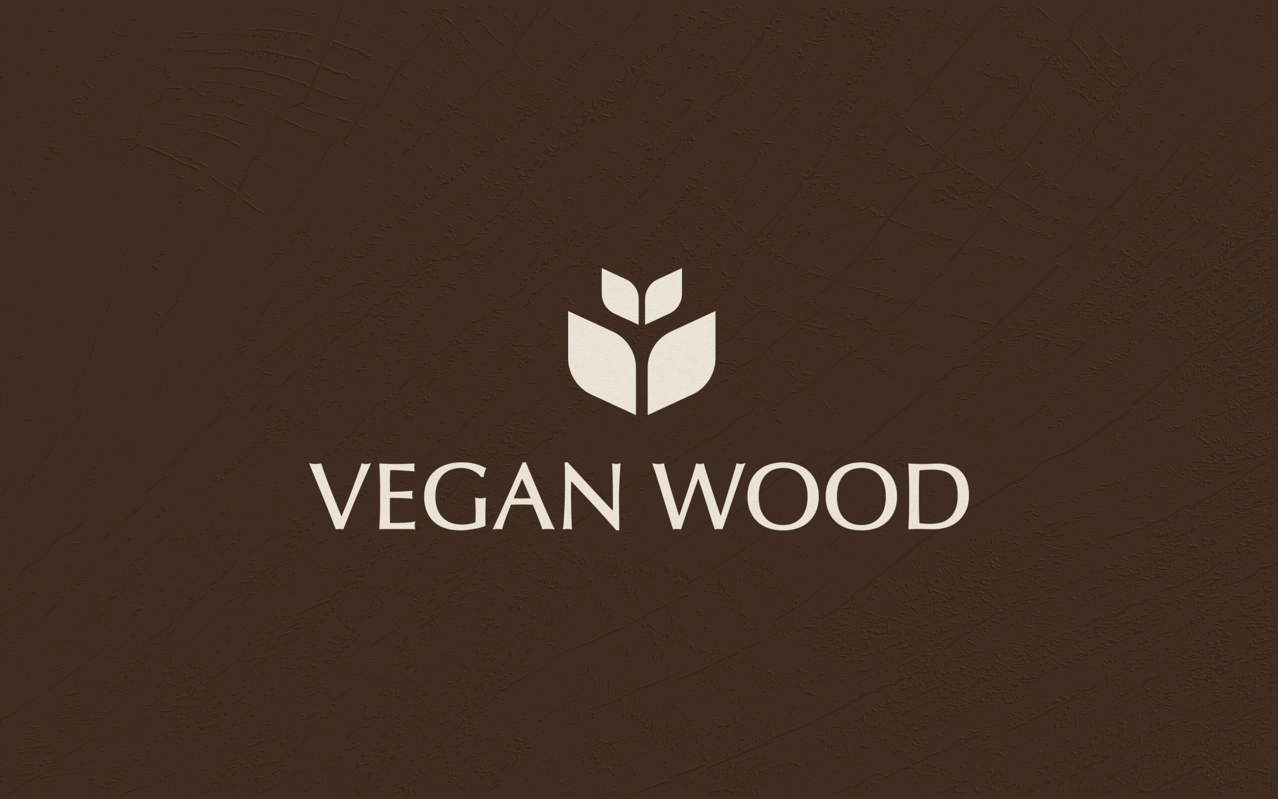 Image hover effect image